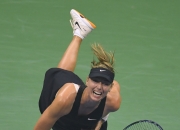 芒果体育-包含莎拉波娃连续十场比赛得分超过连败，篮网挑战极限！的词条