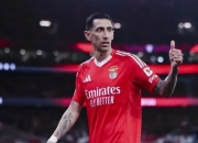 芒果体育- 本菲卡足球俱乐部官网 