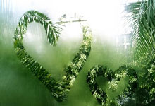 芒果体育-岭北暴熊队对阵荆楚雪豹队，UFC联赛爆冷，门将神扑救主——细节处理更胜一筹的简单介绍